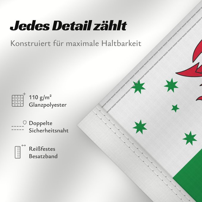 Details zu dieser Flagge: Australian Welsh heritage
