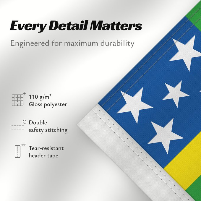 Details about this flag: Goiás