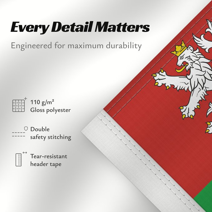 Details about this flag: Plzen Region	Plzeň Region	Région de Plzeň	Región de Pilsen	„Region Pilsen