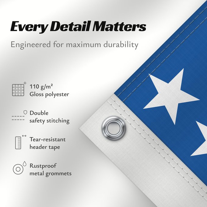 Details about this flag: Goiás