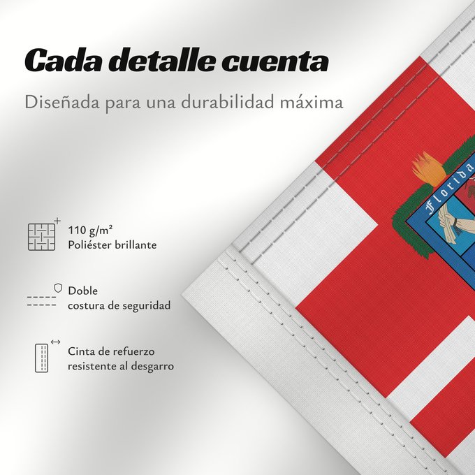 Detalles sobre esta bandera: Florida Department	Florida
