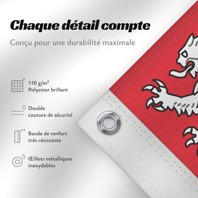 Détails sur ce drapeau : Unofficial flag of Pays-de-la-Loire	Unofficial flag of the region Pays-de-la-Loire in France	Non officiel de la région Pays-de-la-Loire	Países del Loira	Pays de la Loire	Los Païses de Léger