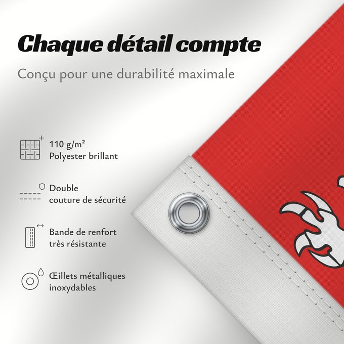 Détails sur ce drapeau : Maine province Region Maine in France Région Maine en France Maine (provincia) Maine (Provinz)