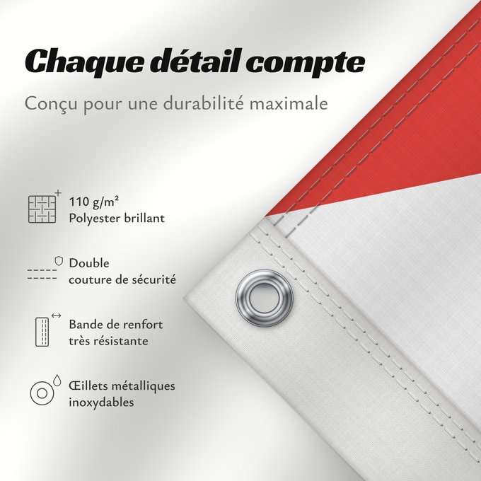 Détails sur ce drapeau : Santarém