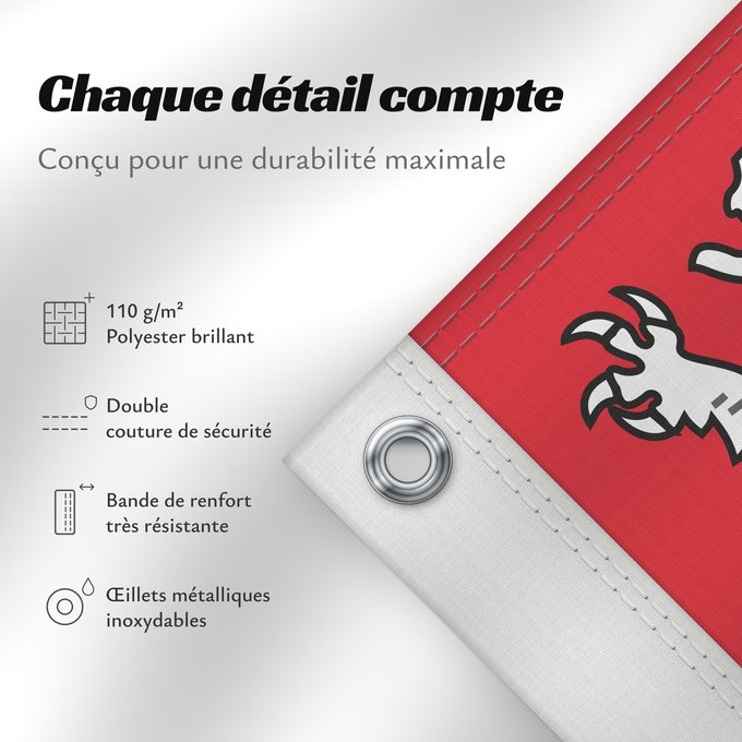 Détails sur ce drapeau : Unofficial flag of Pays-de-la-Loire	Unofficial flag of the region Pays-de-la-Loire in France	Non officiel de la région Pays-de-la-Loire	Países del Loira	Pays de la Loire	Los Païses de Léger