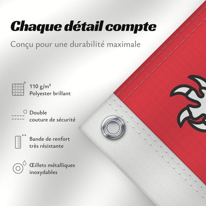 Détails sur ce drapeau : Unofficial flag of Pays-de-la-Loire	Unofficial flag of the region Pays-de-la-Loire in France	Non officiel de la région Pays-de-la-Loire	Países del Loira	Pays de la Loire	Los Païses de Léger