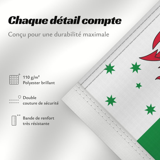 Détails sur ce drapeau : Australian Welsh heritage