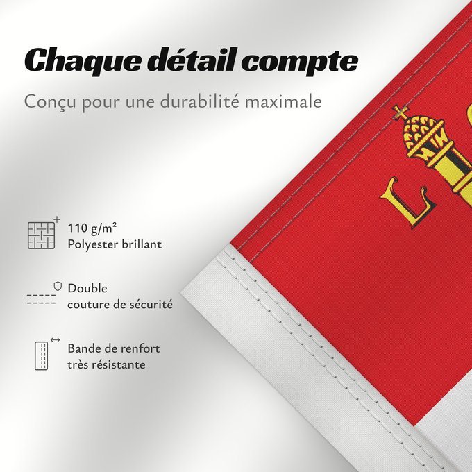Détails sur ce drapeau : Liège (fr)