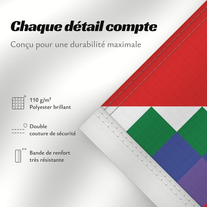 Détails sur ce drapeau : Proposed flag of Bolivia	Possible proposal of Evo Morales for a new flag of Bolivia	Diseño de posible bandera propuesta por Evo Morales para Bolivia
