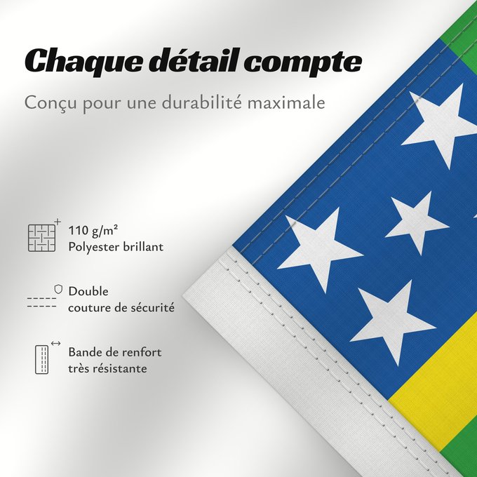 Détails sur ce drapeau : Goiás