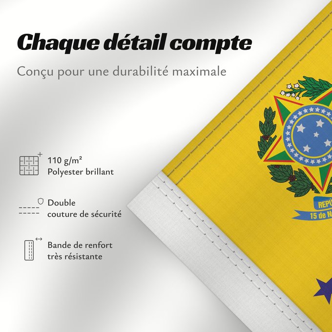 Détails sur ce drapeau : Vice President of Brazil	Vice-President of Brazil	Vice-président du Brésil	Vicepresidente de Brasil	Vizepräsident von Brasilien	Vicepresidente del Brasile	Vice-presidente do Brasil
