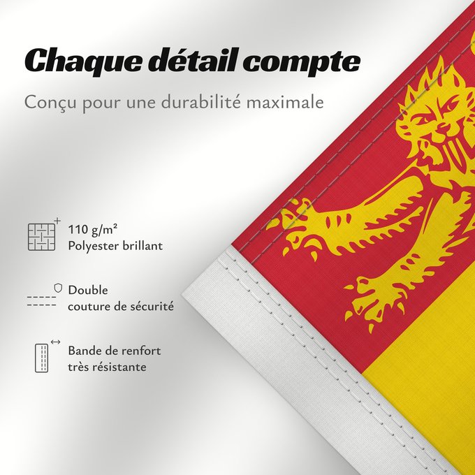 Détails sur ce drapeau : New Brunswick New Brunswick Nouveau-Brunswick Nuevo Brunswick Nuovo Brunswick Banniel proviñs New Brunswick