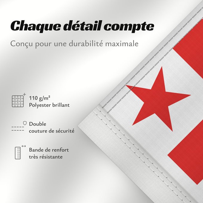 Détails sur ce drapeau : Mikmaq State	Míkmaq State flag  Canada