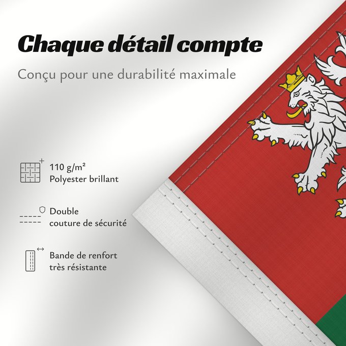Détails sur ce drapeau : South Bohemian Region	Région de Bohême du Sud	Südböhmische Region