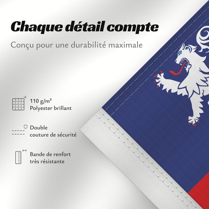 Détails sur ce drapeau : Gascogne French province of Gascogne Armorié de Gascogne Las armas de Gasconha