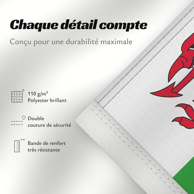 Détails sur ce drapeau : Wales 2 Wales Pays de Galles Gales Wale Galles Walii Wīelisc Fana علم ويلز Banniel Kembre Cymru Galesko bandera Walesin Breataine Bige Brattag Vretin Walesa Kembra Valliae Знаме на Велс Couleu de Galles Флаг Уэльса Прапор Уельсу