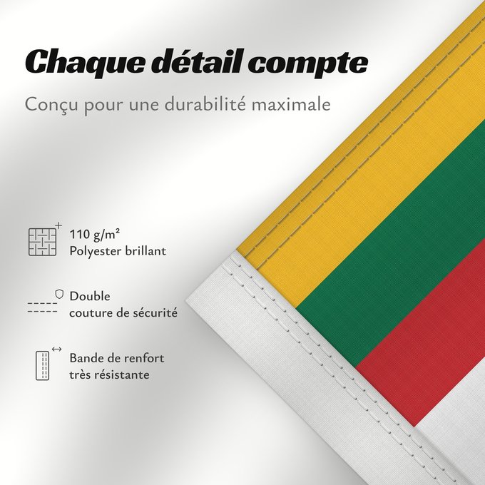 Détails sur ce drapeau : Lithuanian Minister of Defence s