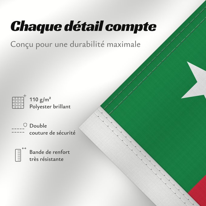 Détails sur ce drapeau : Standard of the Prime Minister of the Maldives	Prime Minister's Standard of the Maldives	Étendard du Premier ministre des Maldives	Estandarte del Primer Ministro de Maldivas	Standarte des Premierministers der Malediven	Stendardo del Primo Ministro delle M