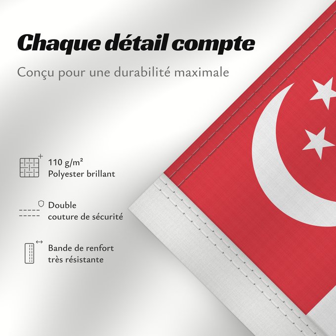 Détails sur ce drapeau : Singapore	Singapour	Singapur	Singapuru	علم سنغافورة	Singapuro	Singapura	Флаг Сингапура	Singapurja	சிங்கப்பூரி்ன் கொடி	​新加坡国旗