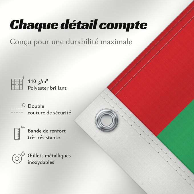 Détails sur ce drapeau : Mauritania	Mauritanie	La Asamblea Nacional de Mauritania aprobó cambiar el diseño de la bandera nacional	Mauretanien	علم موريتانيا ، اعتمد في عام 2017. أضاف مجلس الأمة خطوطًا حمراء على الحافة العلوية والسفلية لتمثل  دماء شهداء الاستقلال