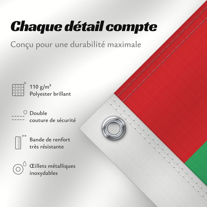 Détails sur ce drapeau : Mauritania	Mauritanie	La Asamblea Nacional de Mauritania aprobó cambiar el diseño de la bandera nacional	Mauretanien	علم موريتانيا ، اعتمد في عام 2017. أضاف مجلس الأمة خطوطًا حمراء على الحافة العلوية والسفلية لتمثل  دماء شهداء الاستقلال