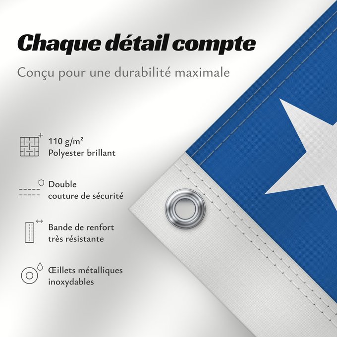 Détails sur ce drapeau : Goiás