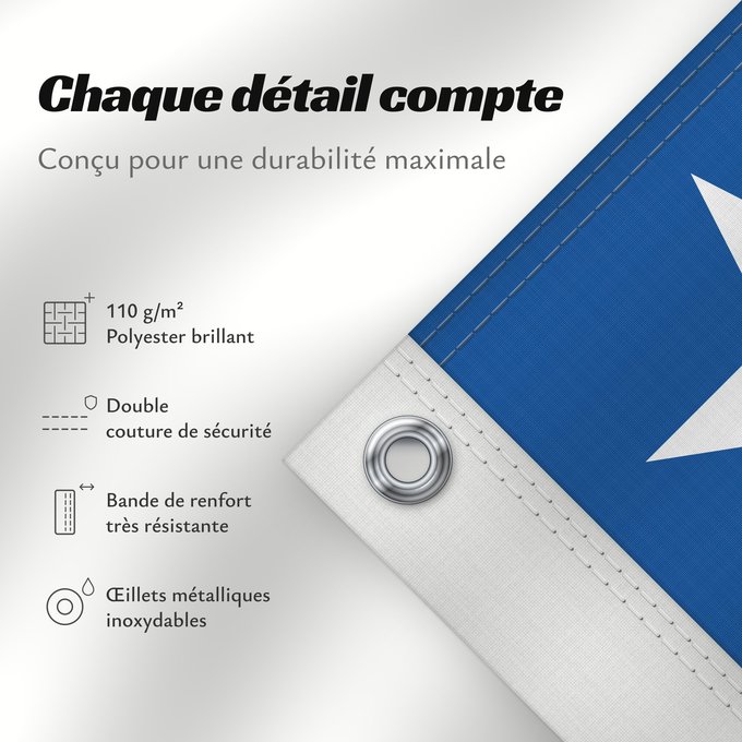 Détails sur ce drapeau : Goiás