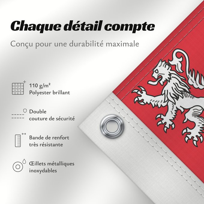 Détails sur ce drapeau : Unofficial flag of Pays-de-la-Loire Unofficial flag of the region Pays-de-la-Loire in France Non officiel de la région Pays-de-la-Loire Países del Loira Pays de la Loire Los Païses de Léger