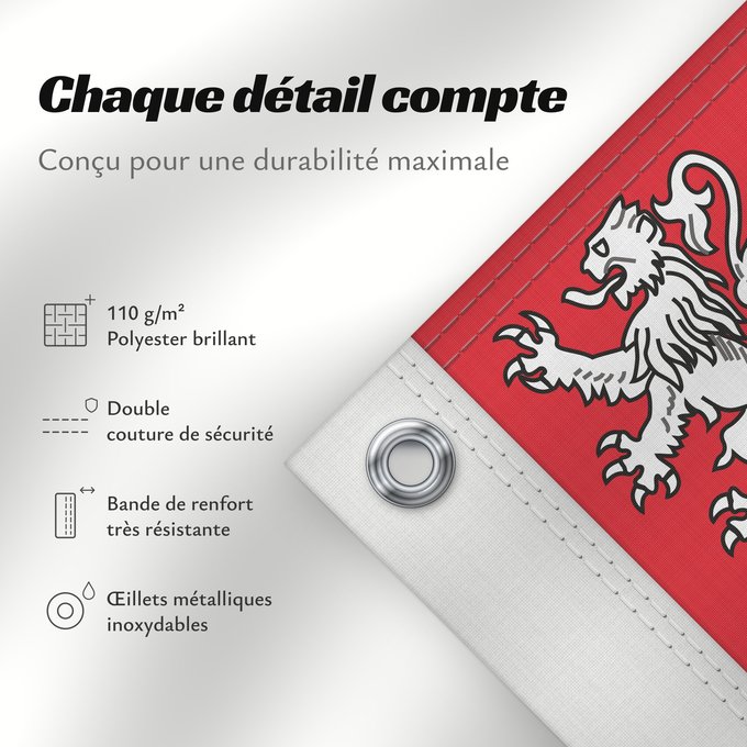 Détails sur ce drapeau : Unofficial flag of Pays-de-la-Loire	Unofficial flag of the region Pays-de-la-Loire in France	Non officiel de la région Pays-de-la-Loire	Países del Loira	Pays de la Loire	Los Païses de Léger