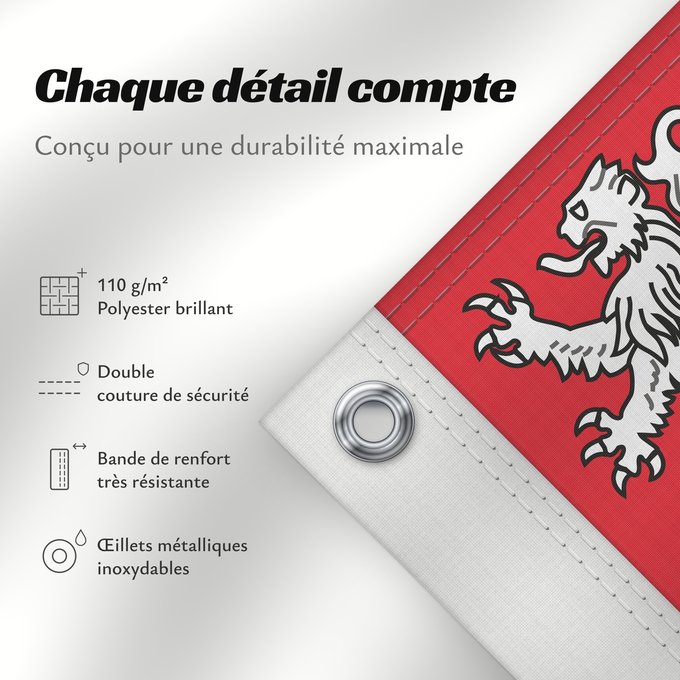Détails sur ce drapeau : Unofficial flag of Pays-de-la-Loire	Unofficial flag of the region Pays-de-la-Loire in France	Non officiel de la région Pays-de-la-Loire	Países del Loira	Pays de la Loire	Los Païses de Léger