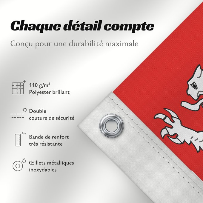 Détails sur ce drapeau : Maine province Region Maine in France Région Maine en France Maine (provincia) Maine (Provinz)