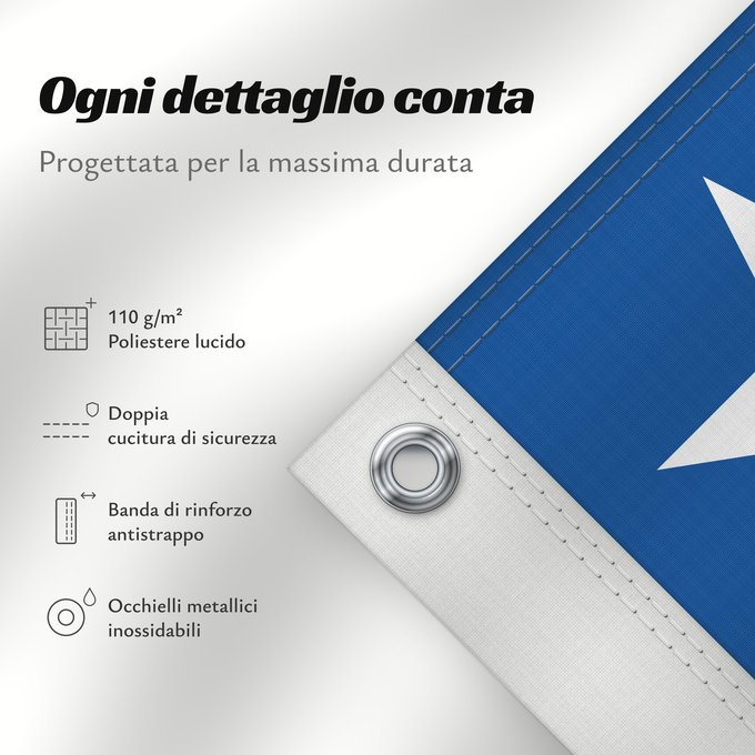 Dettagli sulla bandiera: Goiás
