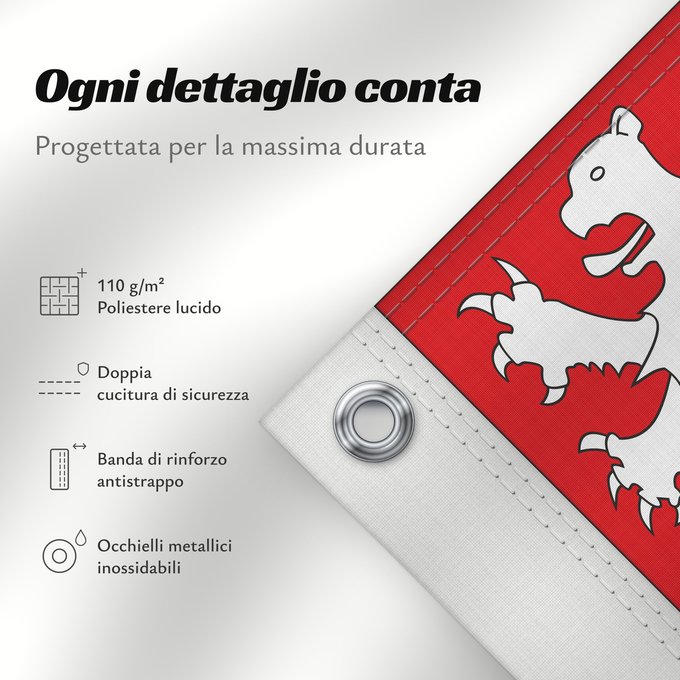 Dettagli sulla bandiera: Fr département Sarthe Sarthe Département de la Sarthe Banniel departamant ar Sarthe pe ar Seurzh