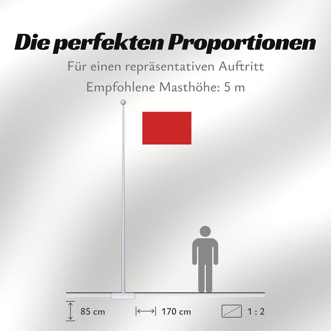 Proportionen der Flagge: Dubai Dubaï