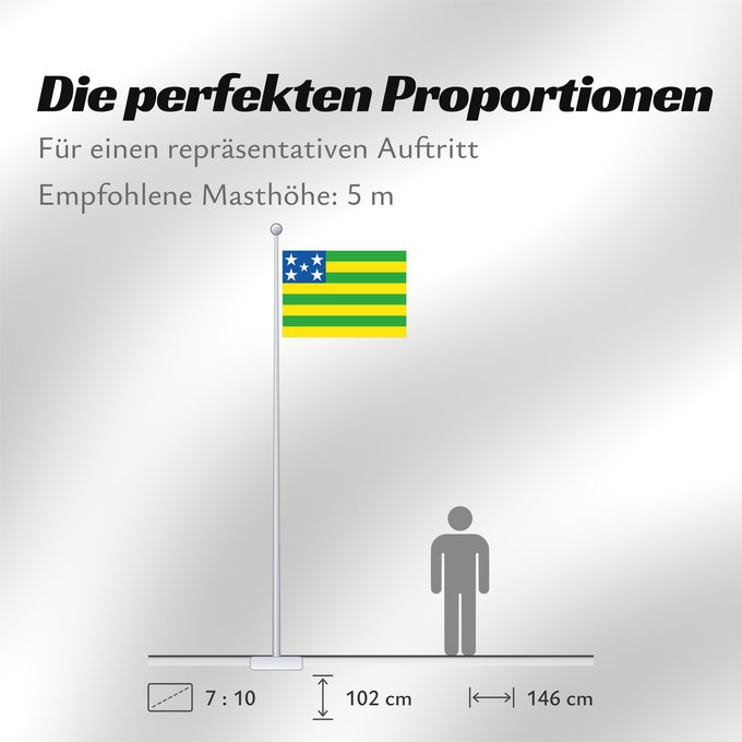 Proportionen der Flagge: Goiás
