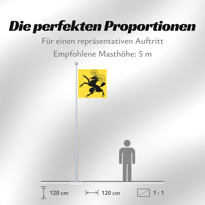 Proportionen der Flagge: Canton of Schaffhausen	Schaffhausen	Schaffhouse	Canton of Schaffhausen in Switzerland