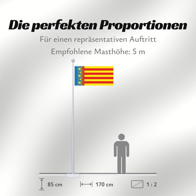 Proportionen der Flagge: Land of Valencia  official	Land of Valencia, 1 2 ratio	Valencia Community	Comunidad Valenciana, proporciones 1 2	Valencian Community	Comunità Valenciana	D o Comunidat Balenziana	Comunidá Valenciana	Comunitat Valenciana, proporcions 1 2	Valentziako Erkideg