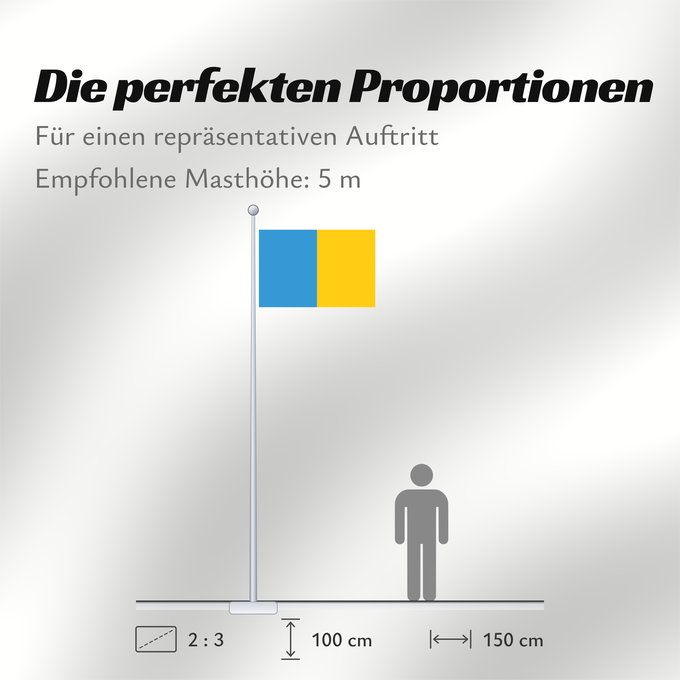Proportionen der Flagge: Province of Udine Province d'Udine Provincia de Udine Provinz Udine Provincia di Udine