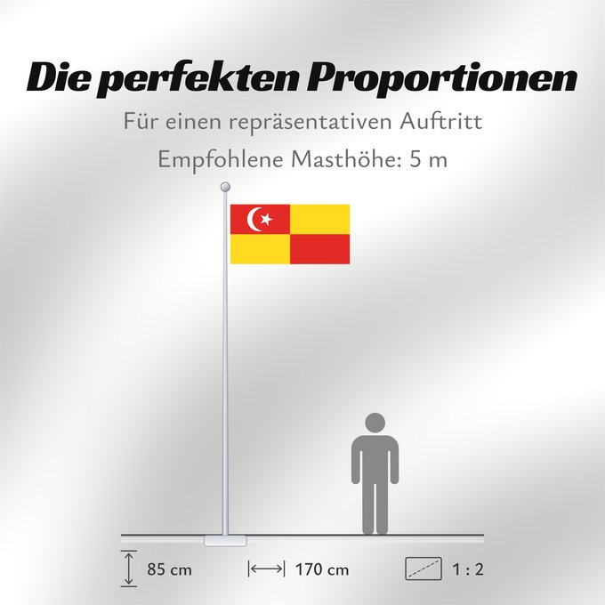 Proportionen der Flagge: Selangor	Selangor 	Malaysian state Selangor