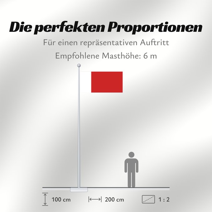 Proportionen der Flagge: Dubai Dubaï