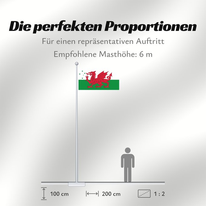Proportionen der Flagge: Australian Welsh heritage