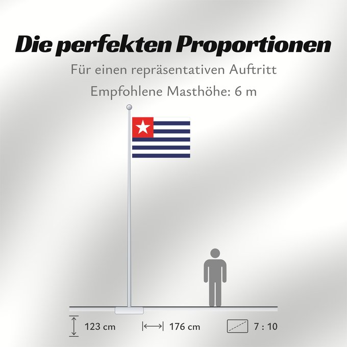 Proportionen der Flagge: Carmo  Rio de Janeiro	Carmo (Rio de Janeiro)	Carmo (Río de Janeiro)	Município do Carmo no Estado de Rio de Janeiro