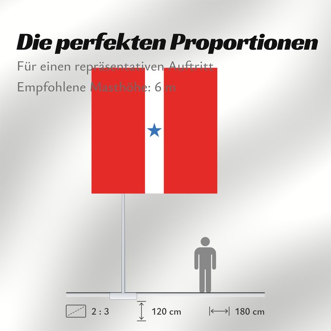 Proportionen der Flagge: Pará variante Variante maybe formal flag of Pará Pará (variante) Pará (Variante) Possível versão original da bandeira do Pará e do Clube Republicano Paraense