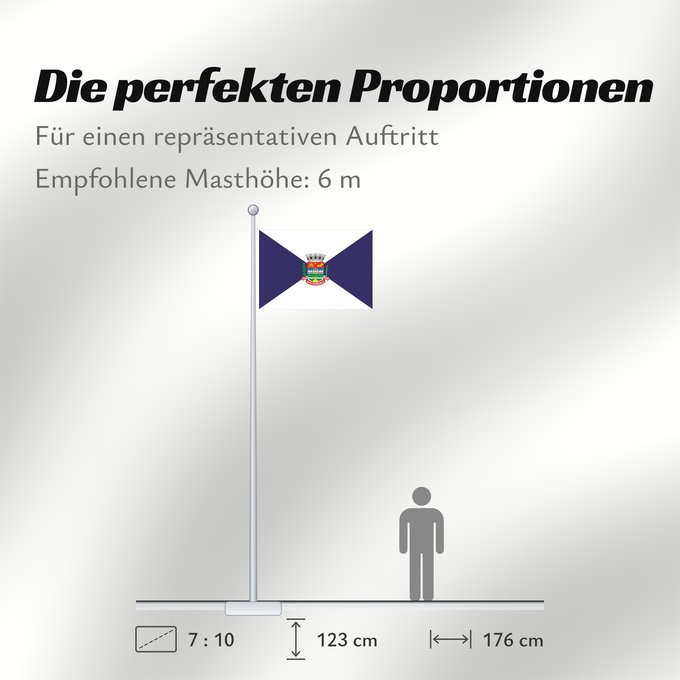 Proportionen der Flagge: São Gonçalo	São Gonçalo, RJ, Brazil