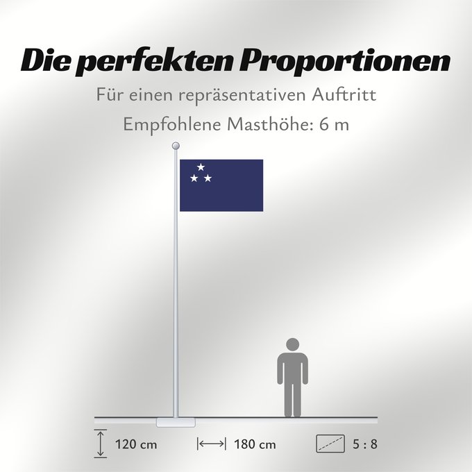 Proportionen der Flagge: Movimento O Sul É o Meu País Southern Independence Movement Brazil Mouvement d'indépendance du Sud (Brésil) (proposé) Movimiento de Independencia del Sur (Brasil) (propuesto) Südliche Unabhängigkeitsbewegung (Brasilien) (Vorschlag) Movimento per l'Indipe