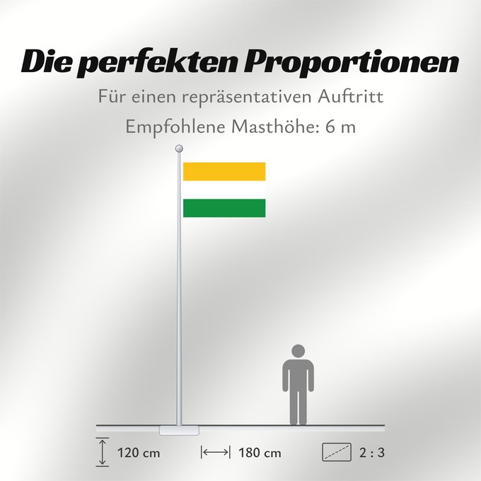 Proportionen der Flagge: Acacías  Meta	Acacías (Meta)	Municipio de Acacías  Meta