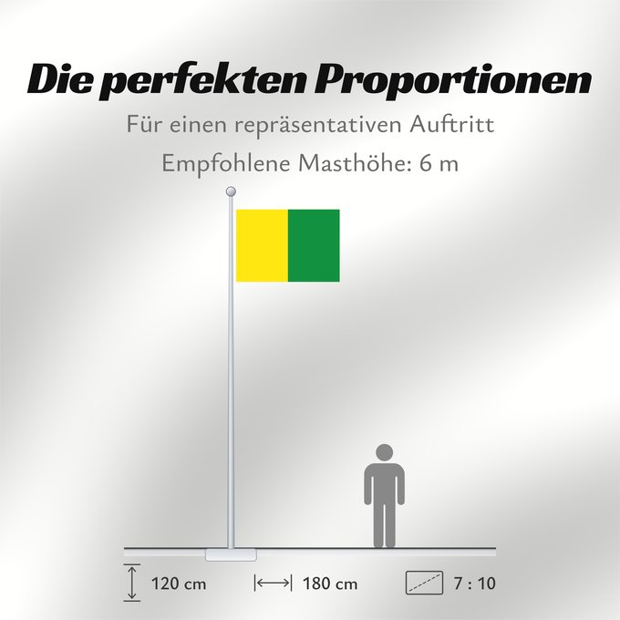 Proportionen der Flagge: Caldas	Caldas, Colombia
