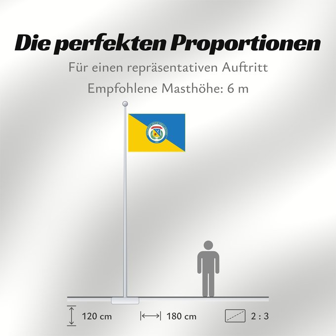 Proportionen der Flagge: Universidad Militar Nueva Granada