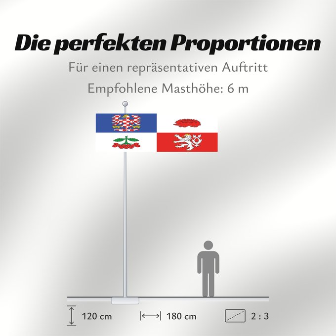 Proportionen der Flagge: Vysocina Region	Vysočina Region	Région de Vysočina	Región de Vysočina	Region Vysočina