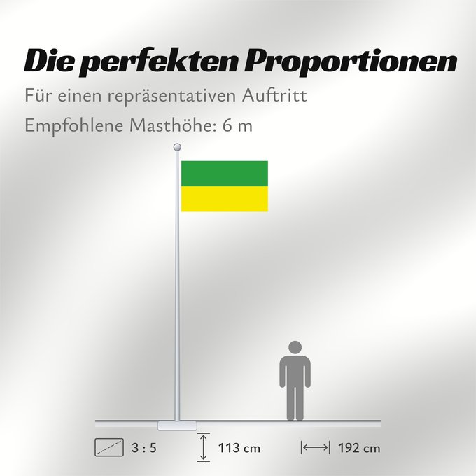 Proportionen der Flagge: D Haryana Haryana
